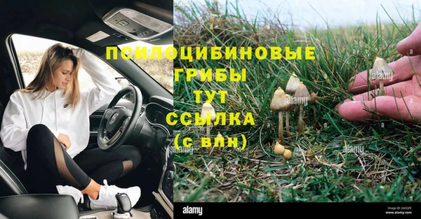 спиды Аркадак