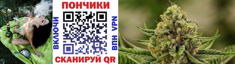 Каннабис гибрид Лаишево
